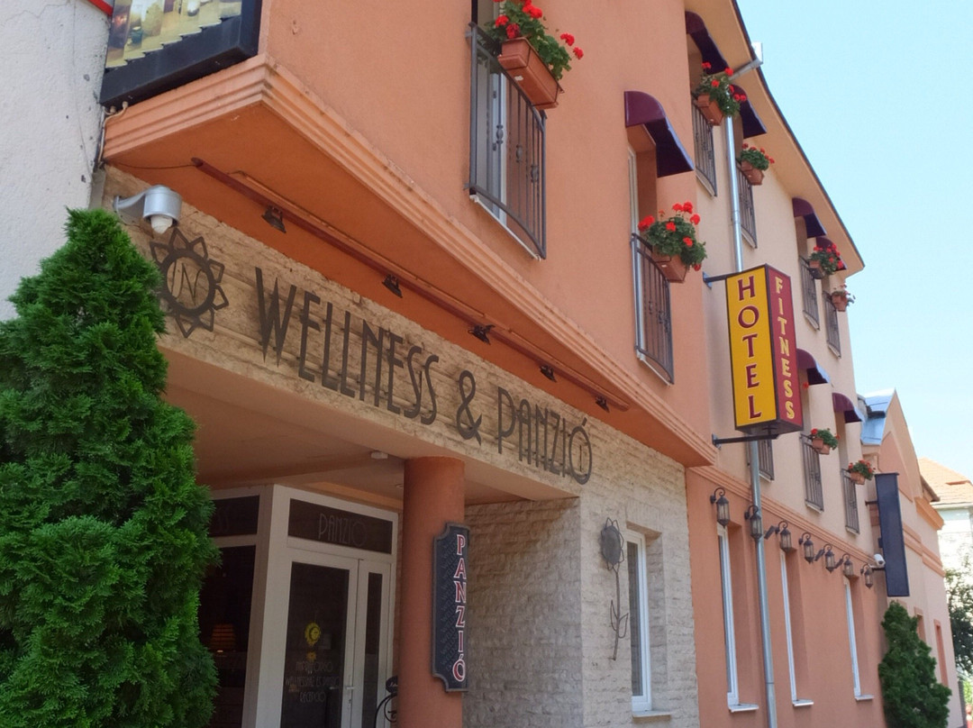 Napraforgó Wellness Ház es Panzió主图