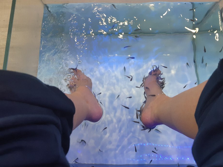 Dottor Fish Rimini-里米尼必去景点