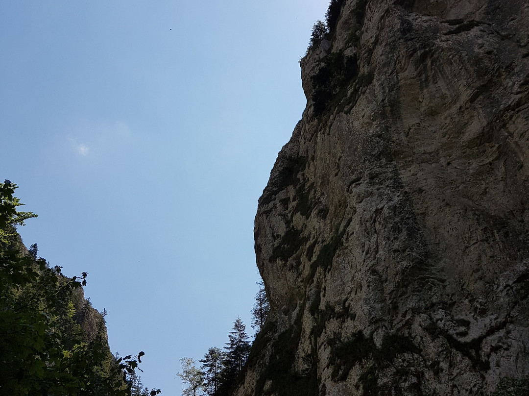 Prăpăstiile Zărneștiului景点图片
