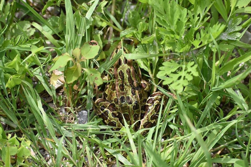 Missisquoi National Wildlife Refuge-Swanton必去景点