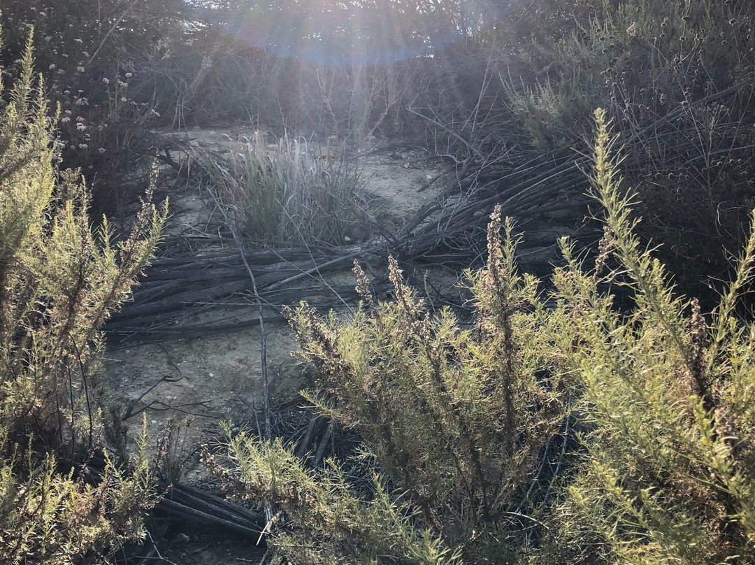 Black Gold Golf Club-约巴林达必去景点