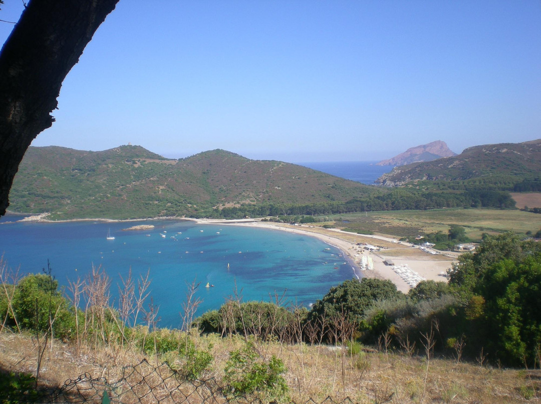 Camping Torraccia