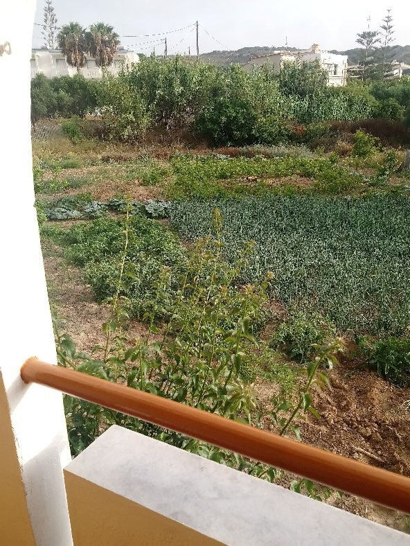 Yiannis The Beekeeper Apartments主图