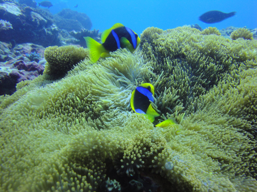 Ocean 18 Watersport and Dive Center