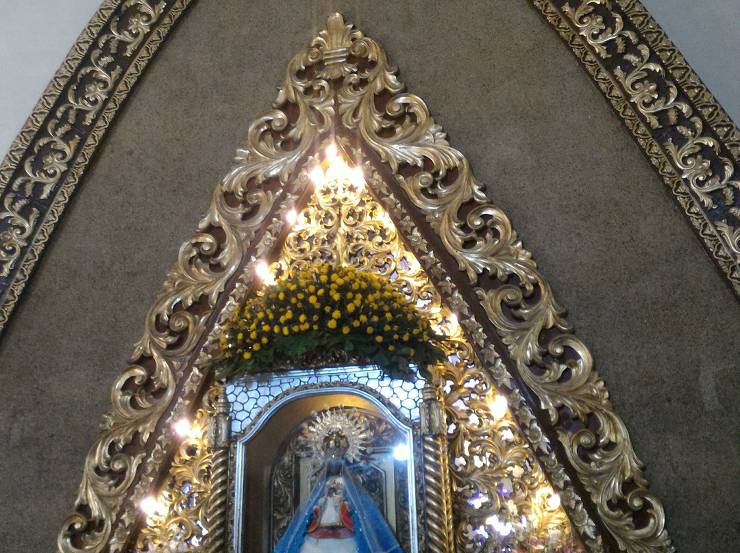 Virgen dela Regla National Shrine景点图片