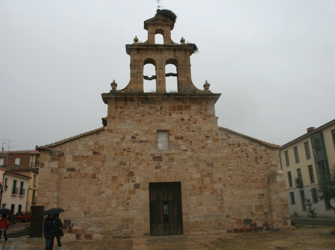 Museo Diocesano-萨莫拉必去景点
