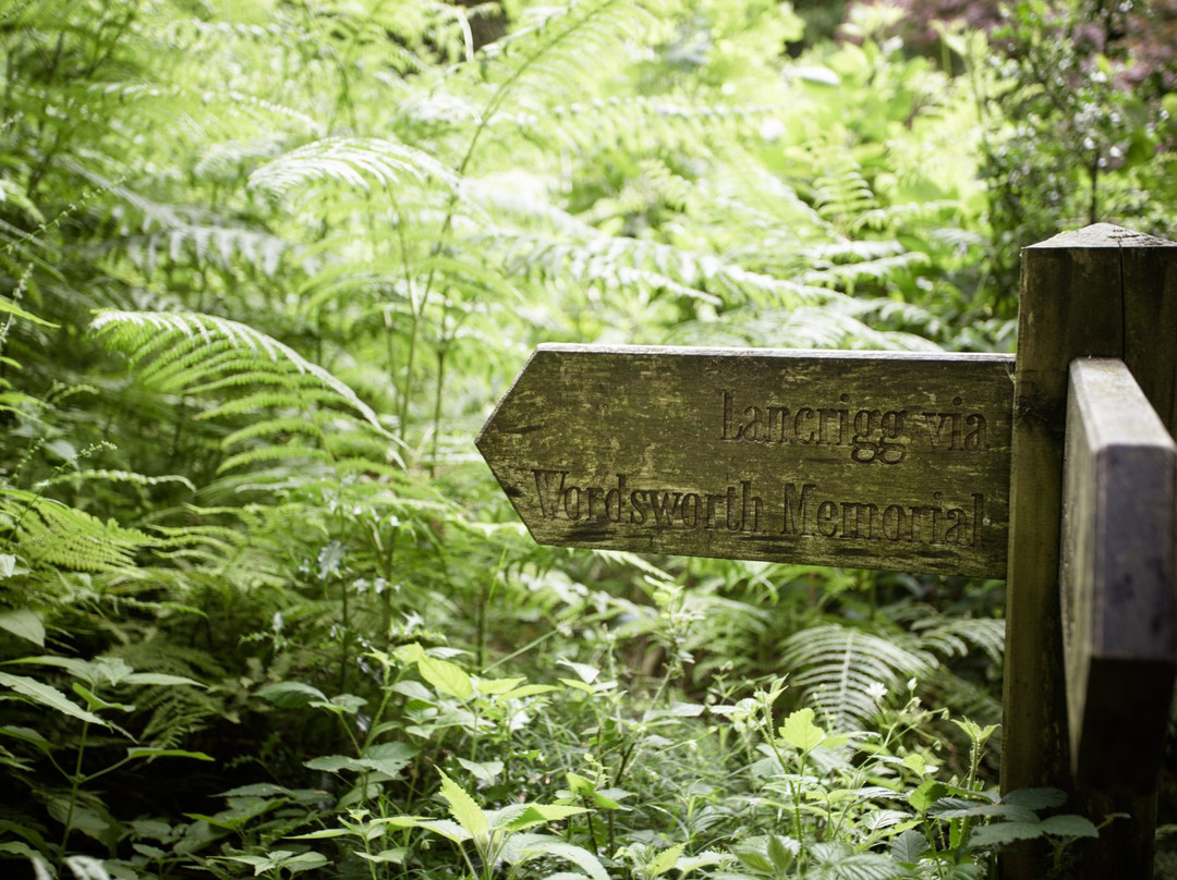 Lancrigg - Wordsworths Woodland Walks景点图片