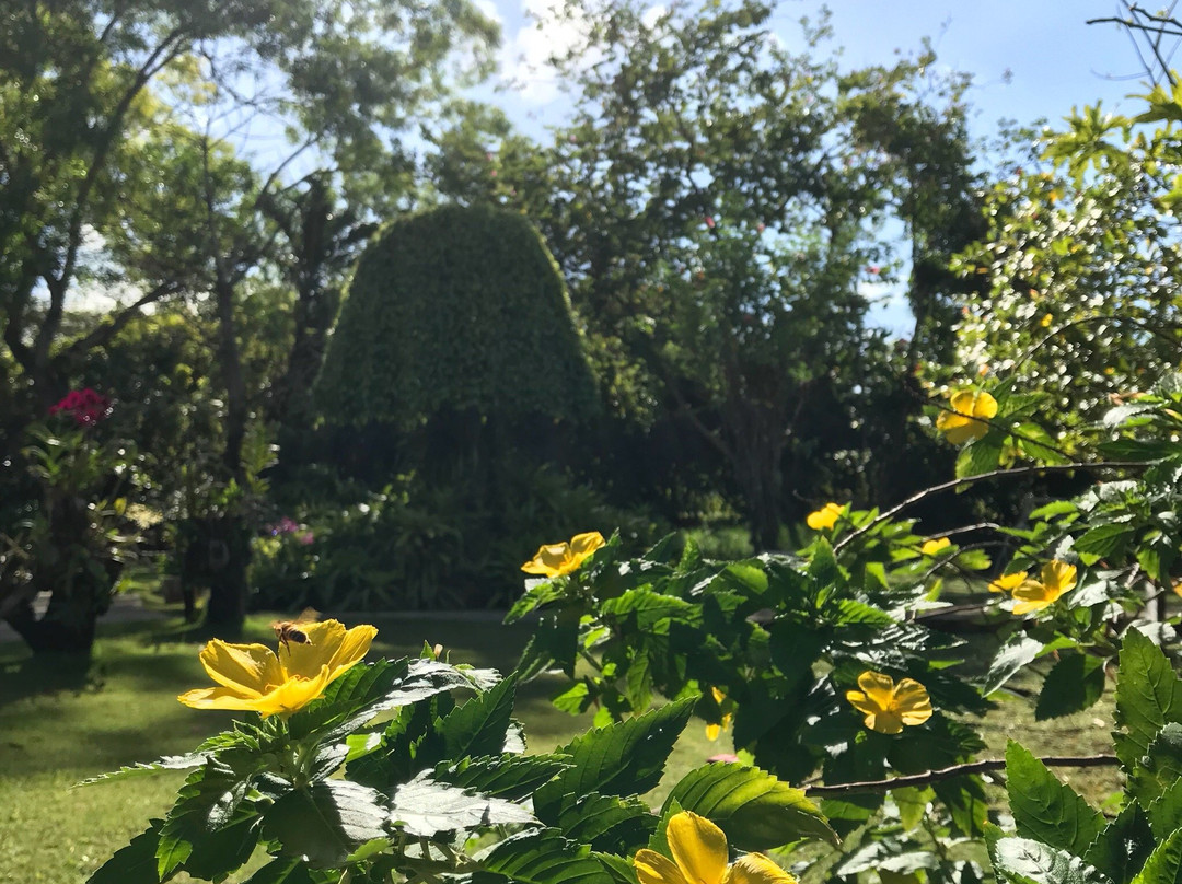 Mangilao旅游景点-Guam Sankyo Garden