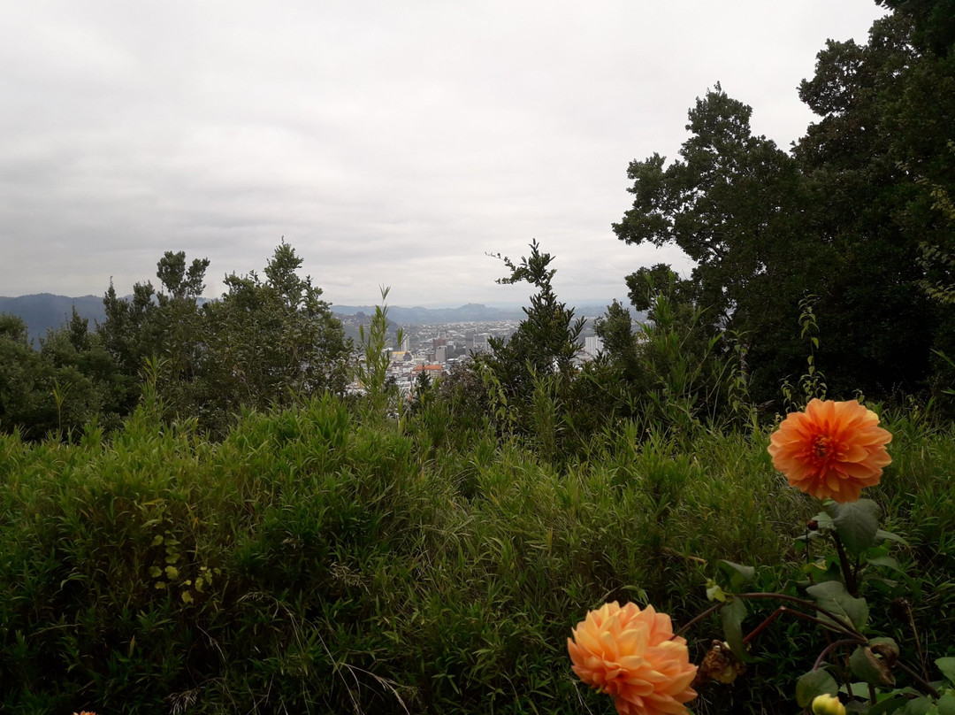 Monumento Natural Cerro Ñielol景点图片
