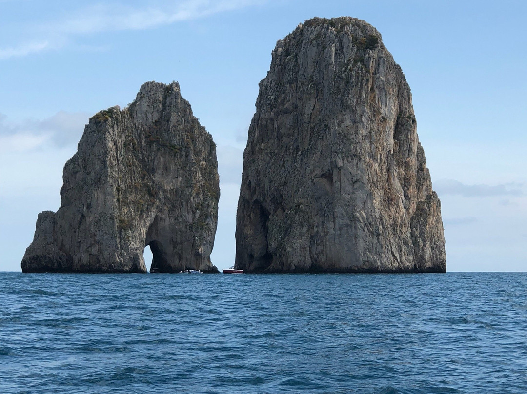 Capri Whales di Wendy景点图片