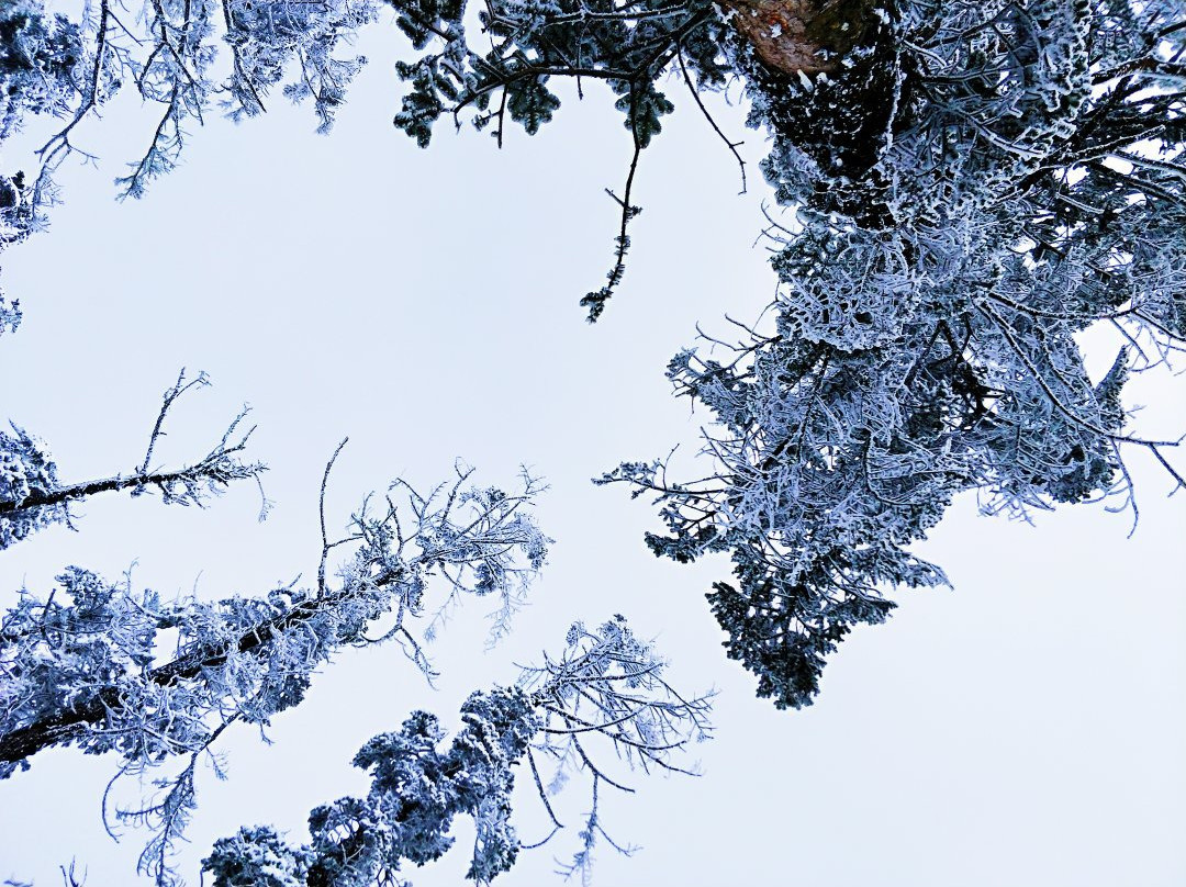 西岭雪山滑雪场景点图片