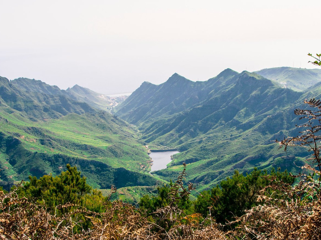Mas de Treinta Tenerife-圣克鲁斯-德特内里费必去景点