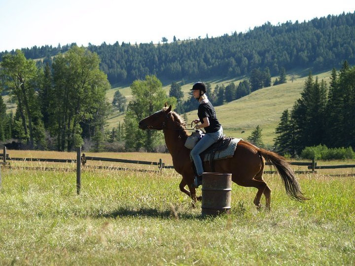 Sweet Grass (Dude) Ranch主图