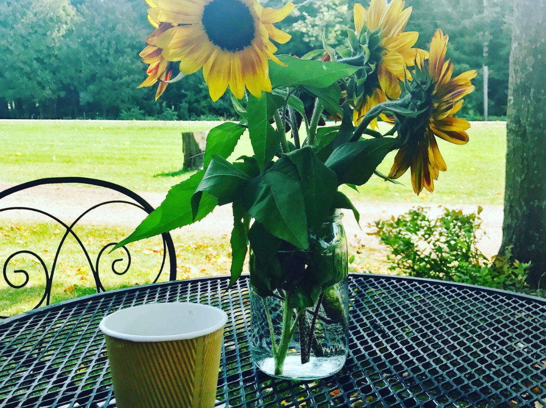 Kick Ash Door County-Ellison Bay必去景点