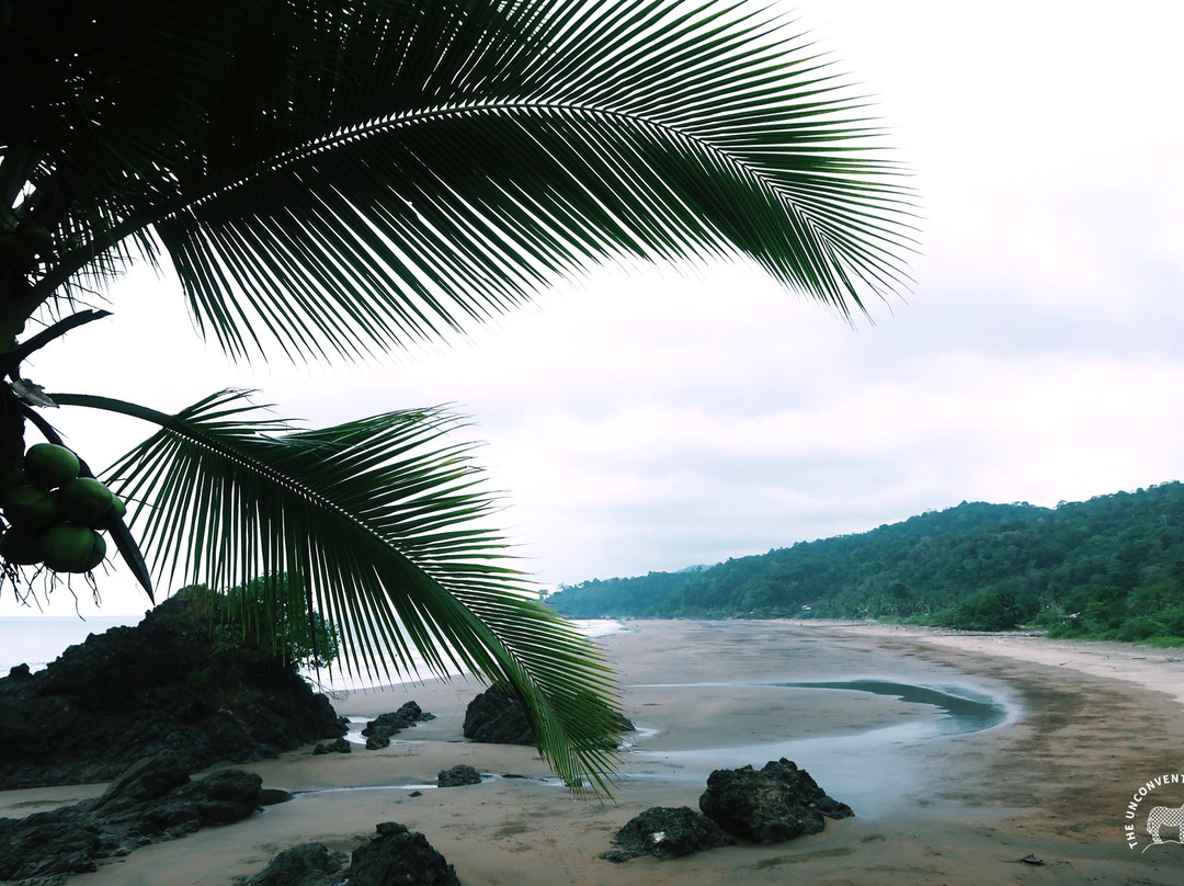 Playa El Almejal-Bahia Solano必去景点