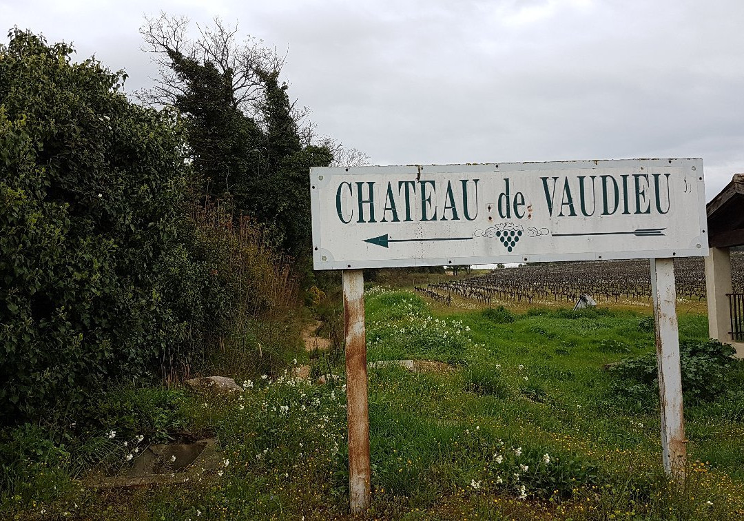 Château de Vaudieu景点图片