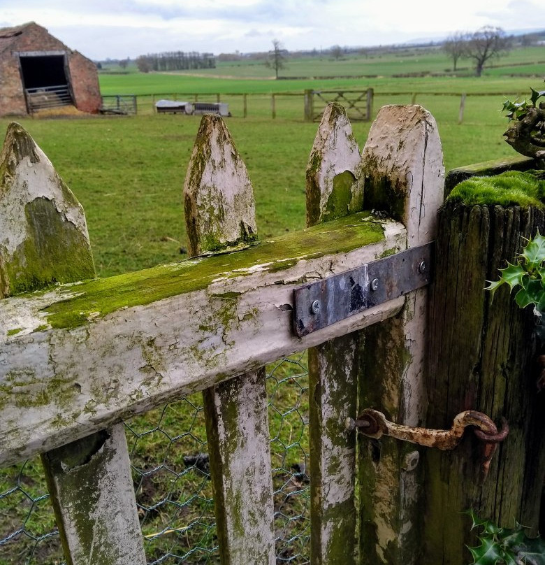 Cundall Lodge Farm Bed & Breakfast主图