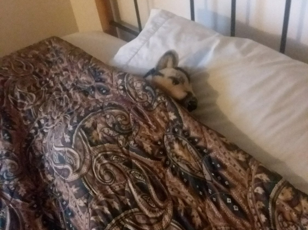 Spring Green Motel主图