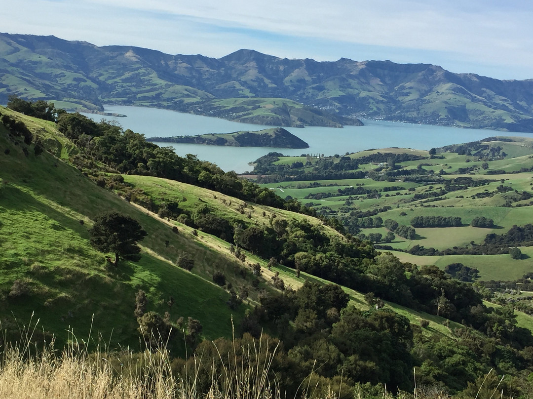 Arahi Tours NZ景点图片