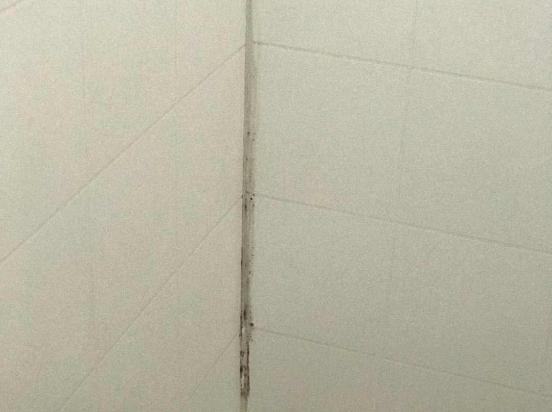 Blake Court Motel主图