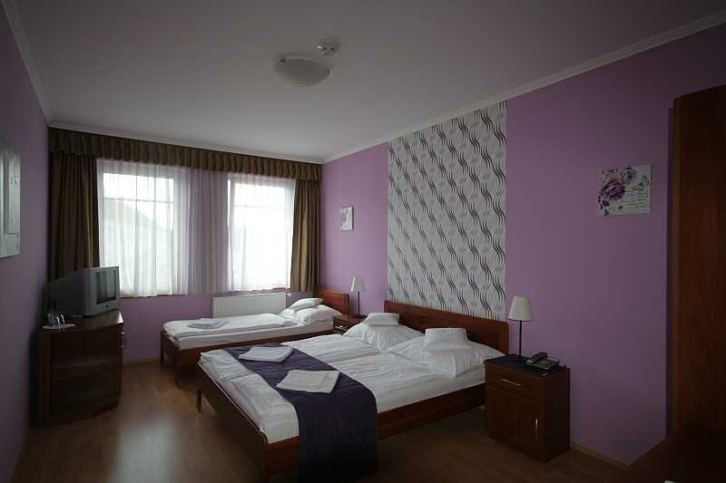 Hotel Patonai主图
