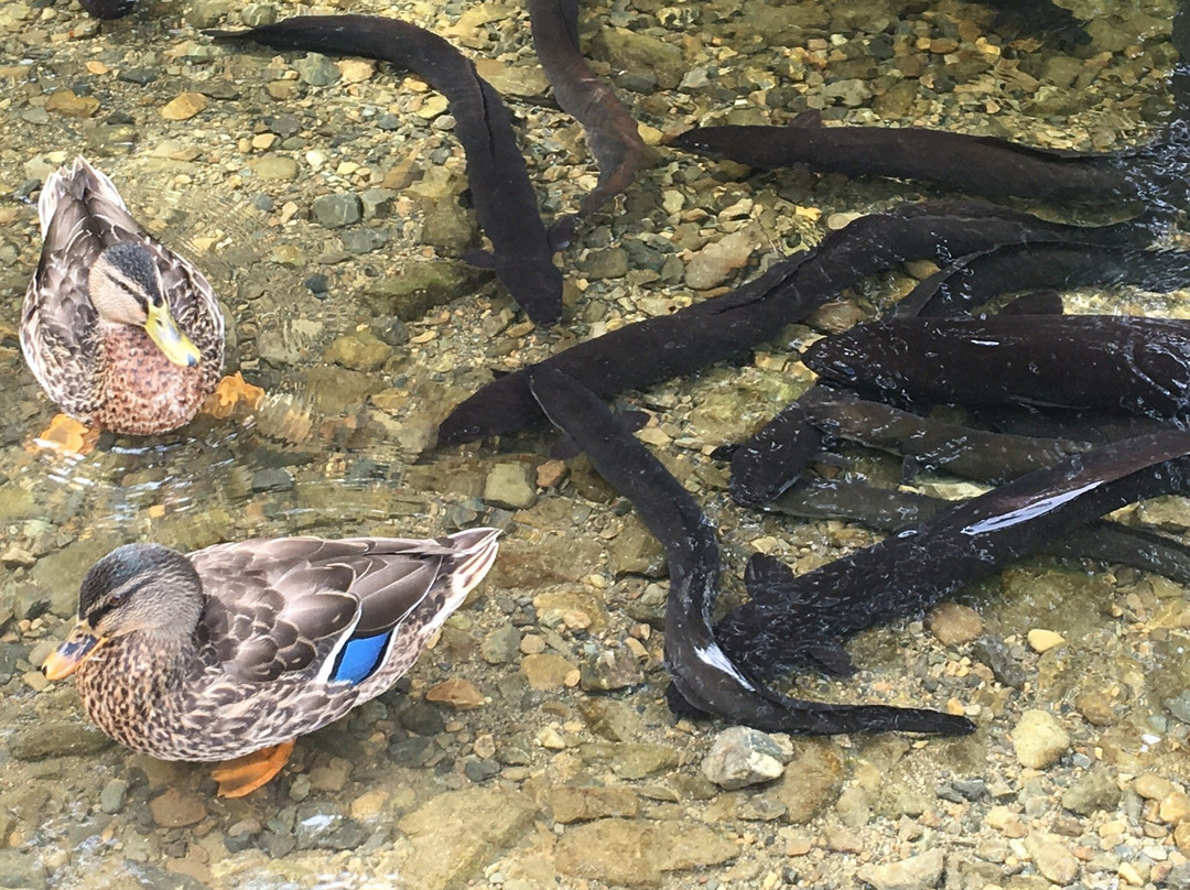 Battle Hill Farm Forest Park-Porirua必去景点