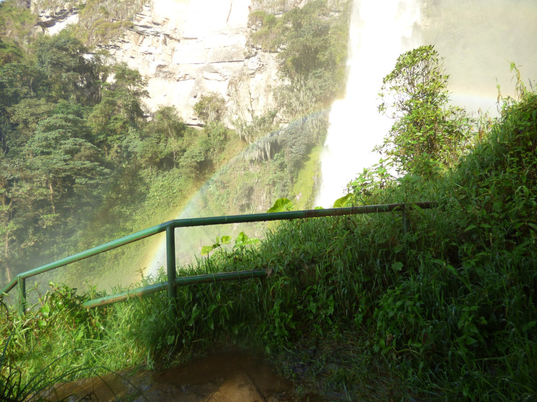 Parque Nacional Natural Sumapaz-波哥大必去景点