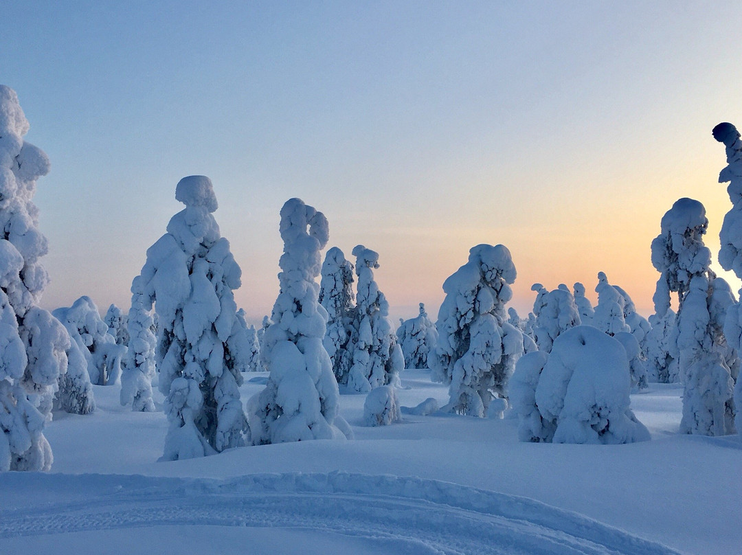 Luosto Adventures-Luosto必去景点