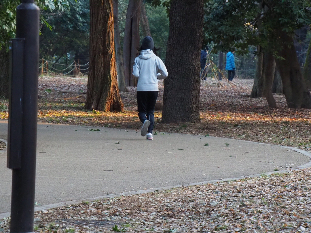 Egota-no-Mori Park-中野区必去景点