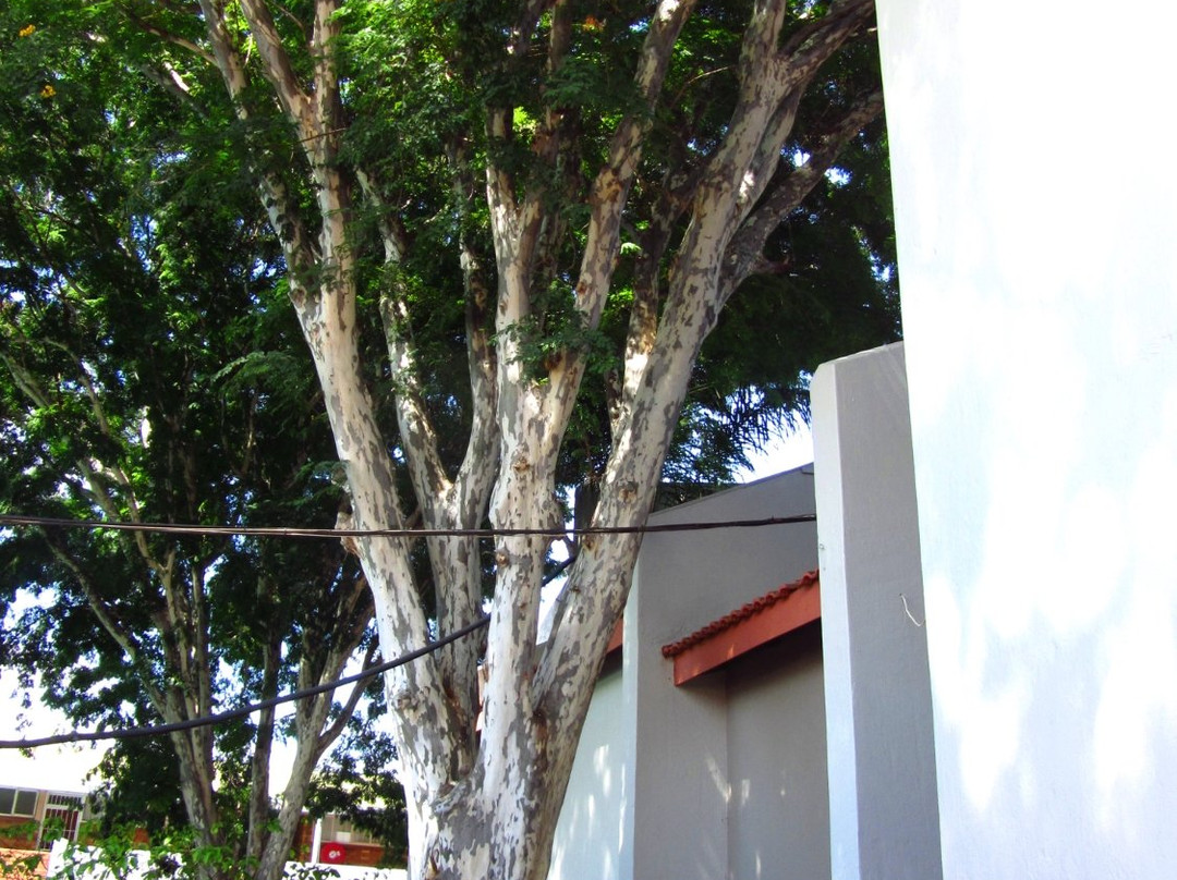 Lonely Oak Hotel主图