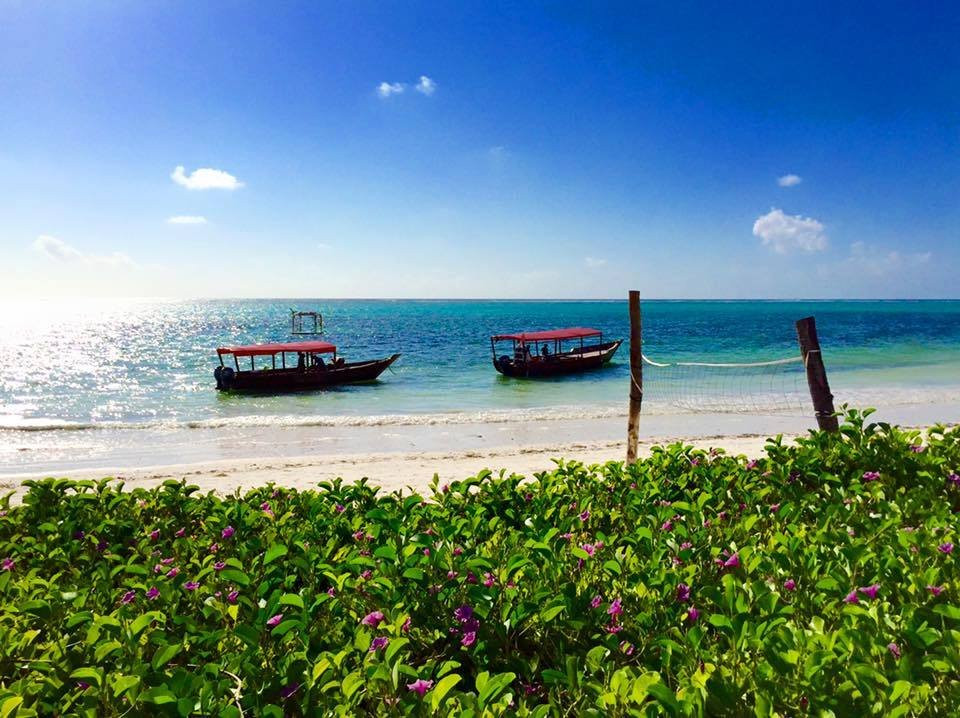 Rising Sun Dive Center-桑给巴尔岛必去景点