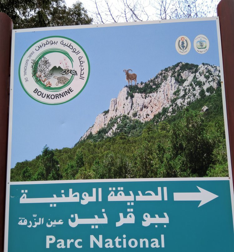 Boukornine National Park-Hammam Lif必去景点