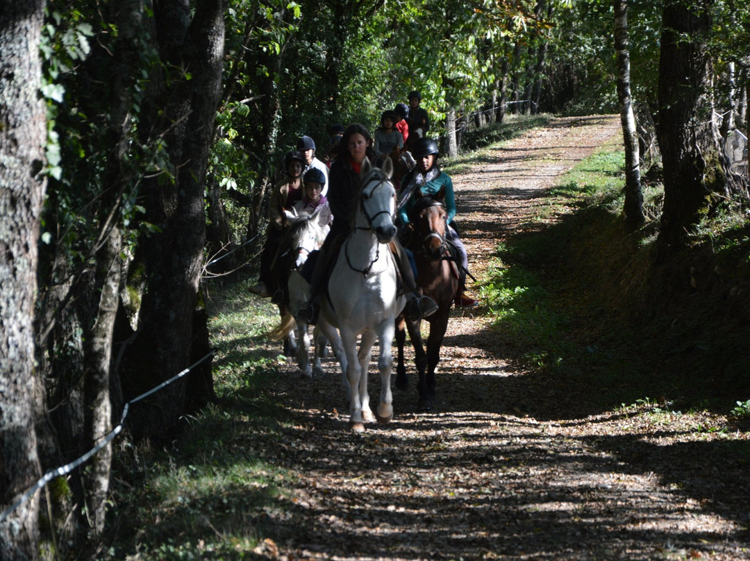 Ferme Equestre de la Gresigne景点图片