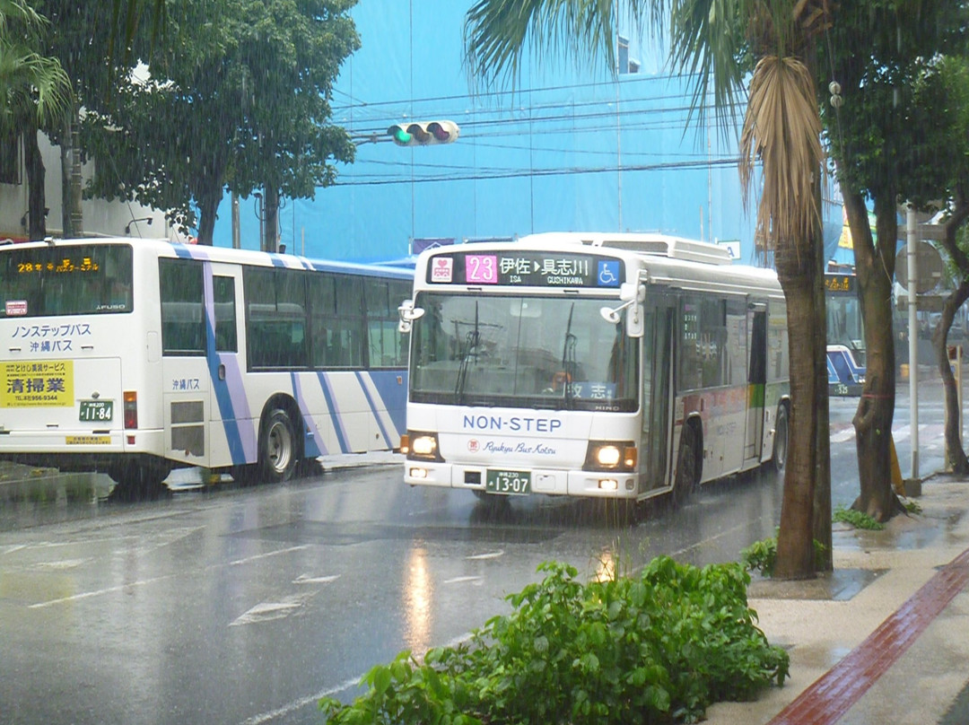 Ryukyu Bus Kotsu景点图片