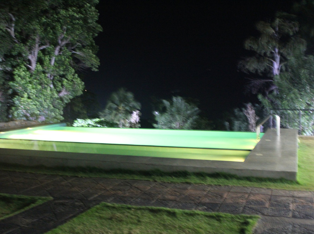 Paradise Forest Garden主图