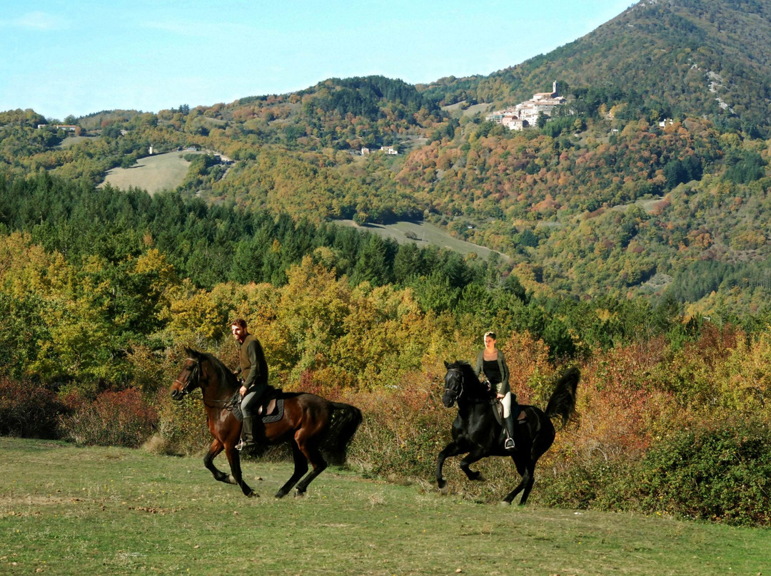 Prategiano - Horse Riding Holiday Tuscany景点图片