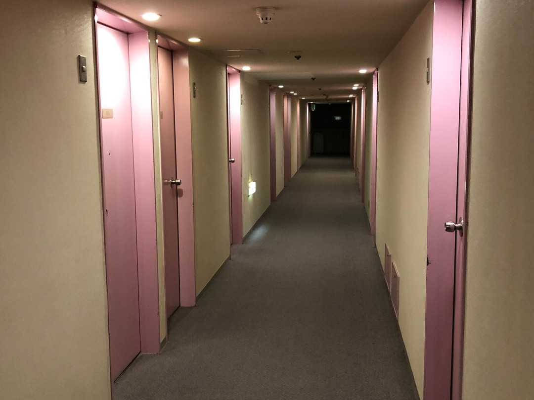 鱼津灿路都大饭店主图