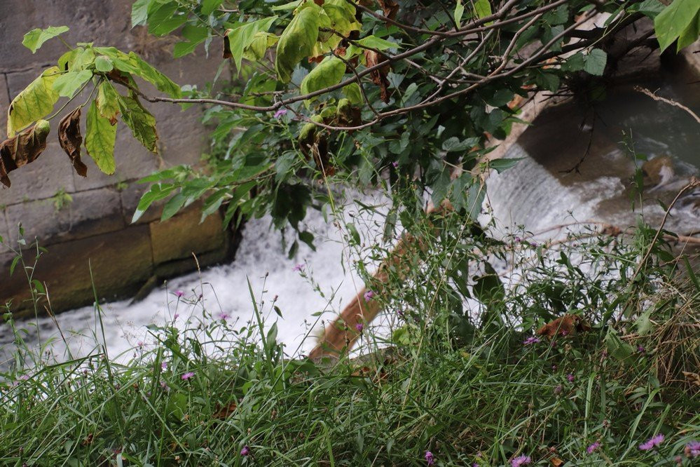 Mountain Locks Park-圣凯瑟琳斯必去景点
