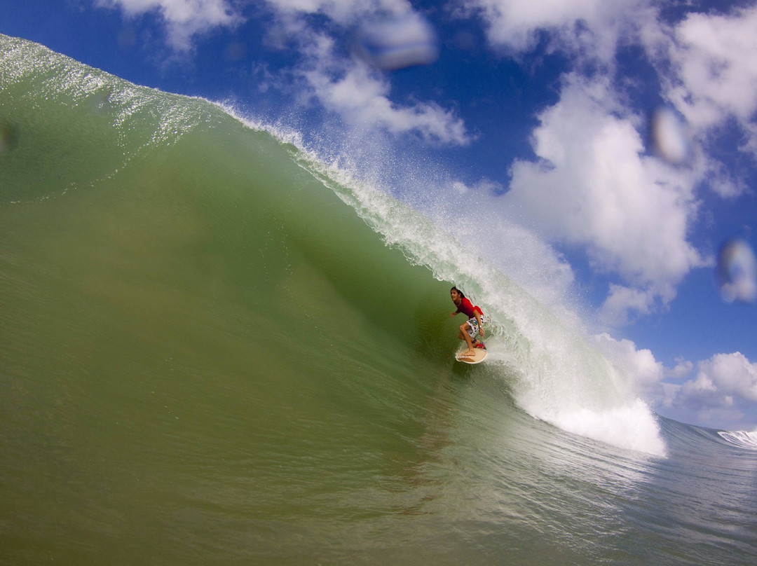 Tambling Wildlife Nature Conservation-班达楠榜必去景点