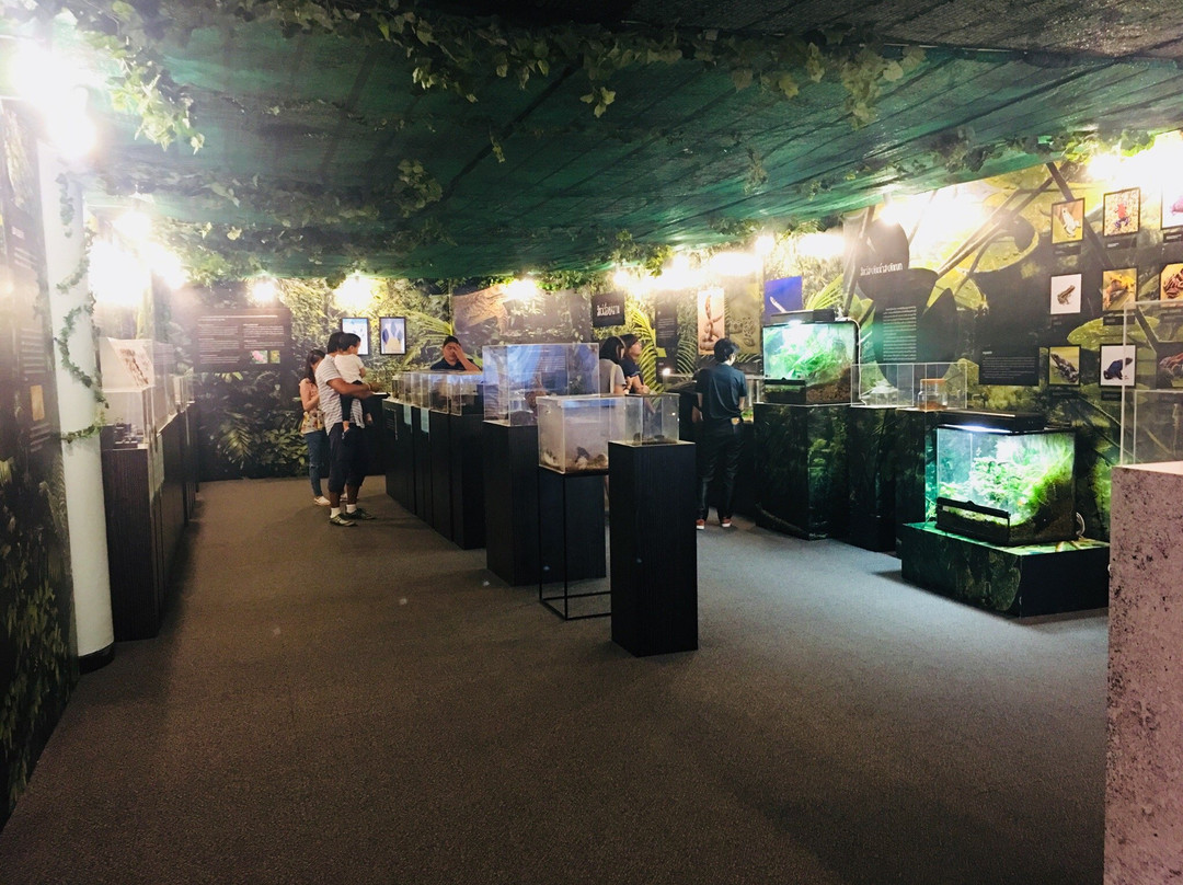 国立科学博物馆-曼谷必去景点