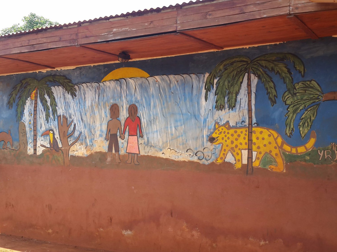 Comunidad Guarani Yriapu - Comunidad Indigena Iriapu景点图片