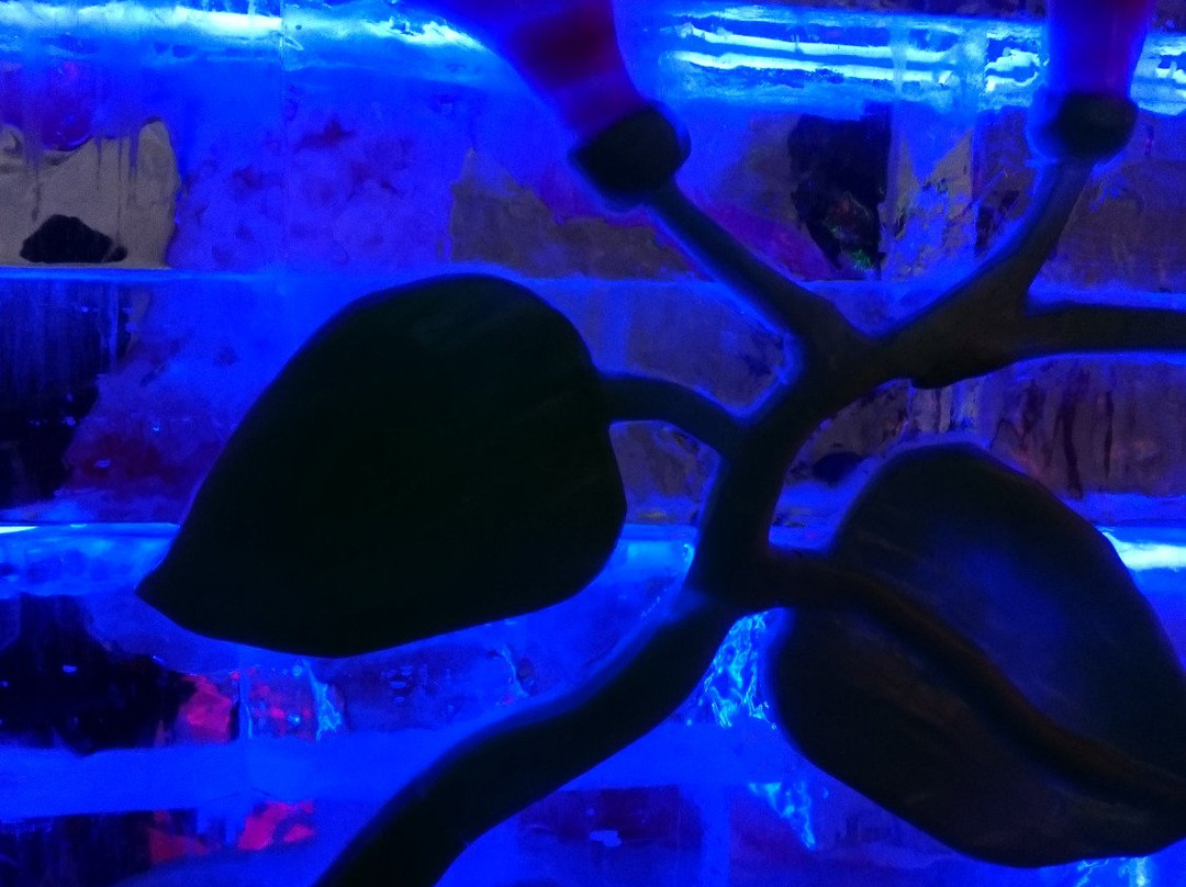 龙庆峡冰雪节-北京市必去景点