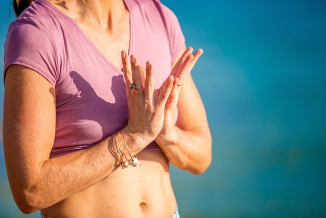 Rooted Flight-海库必去景点