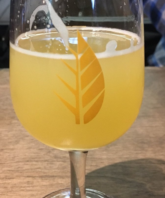 Deciduous Brewing Company景点图片