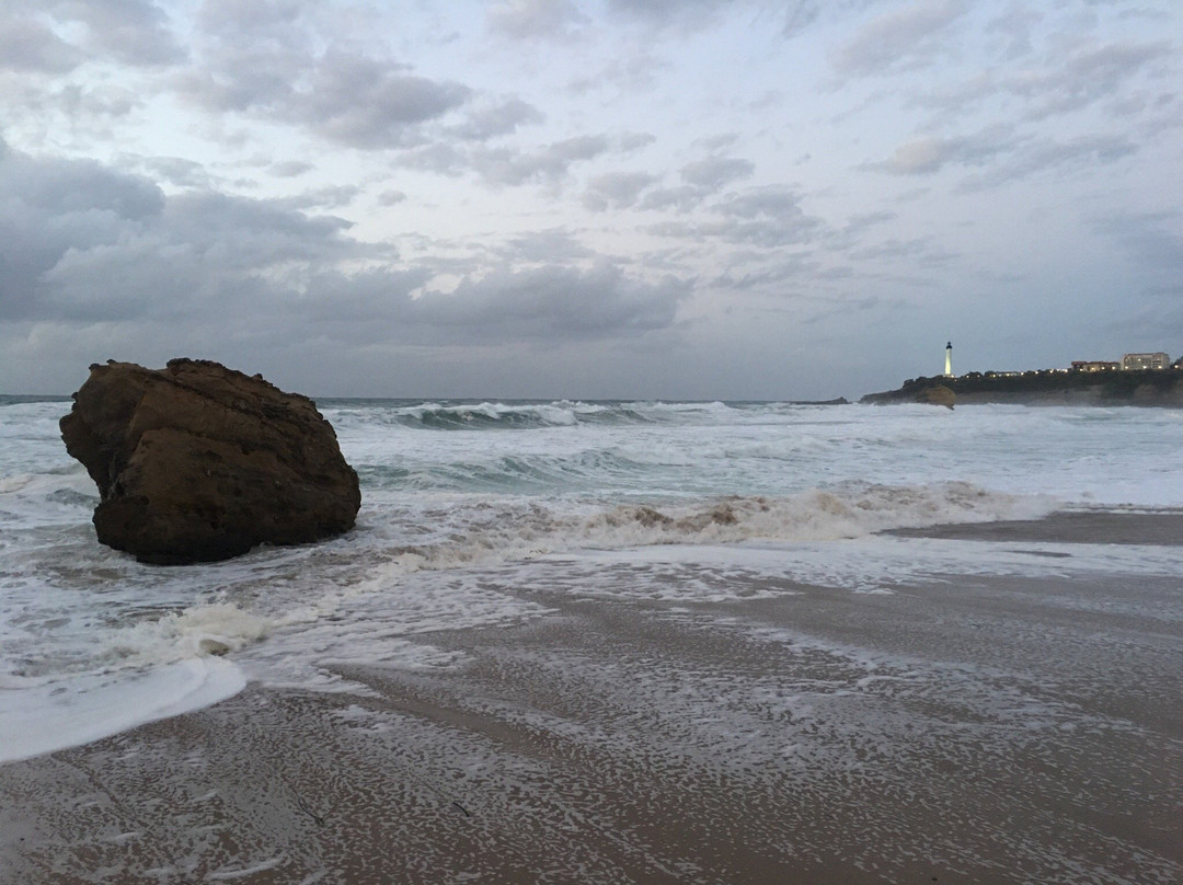 Plage du Miramar景点图片