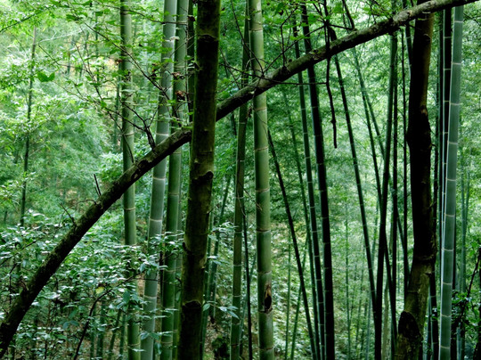 崀山国家级风景区-新宁县必去景点