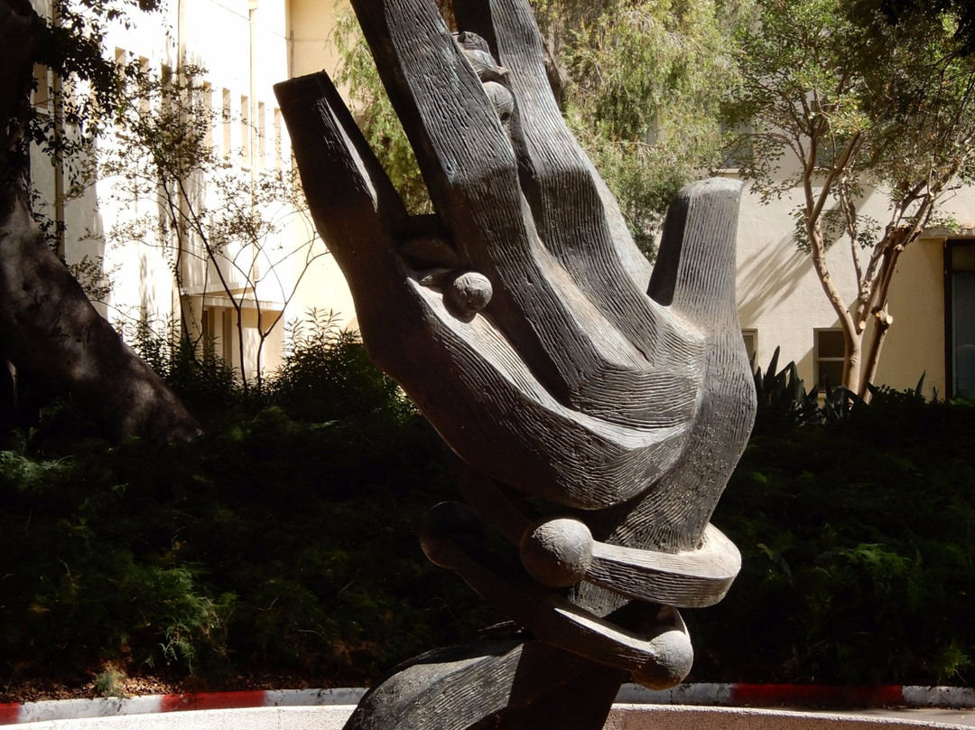 Weizmann Institute of Science-雷霍沃特必去景点