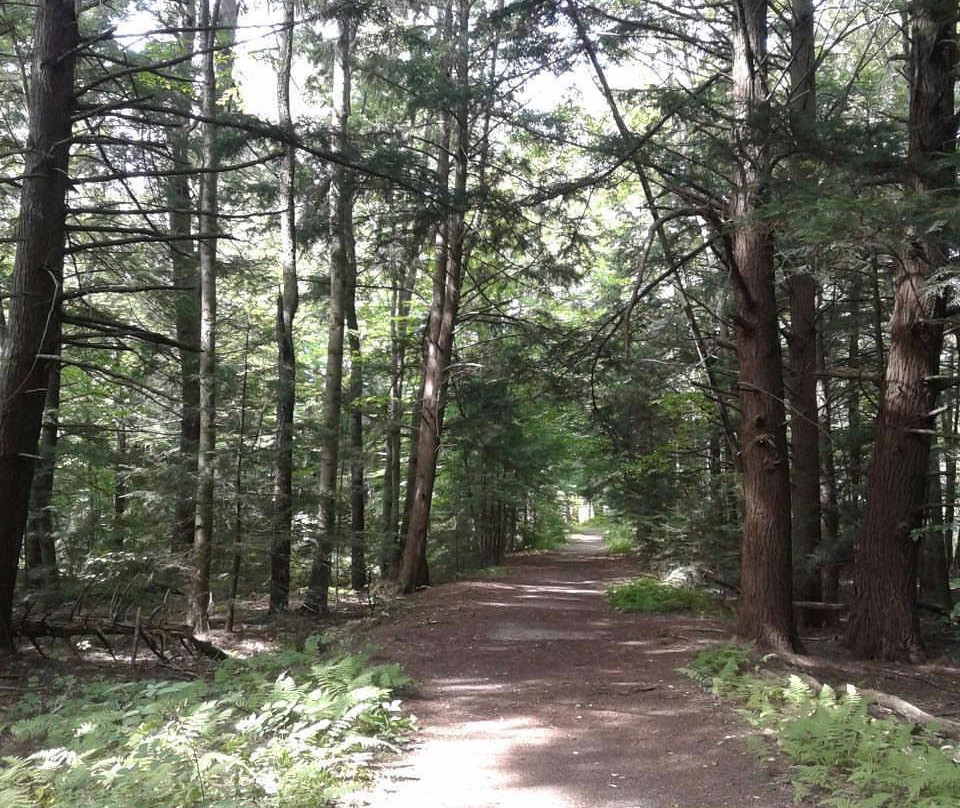 Mass Audubon Canoe Meadows Wildlife Sanctuary景点图片