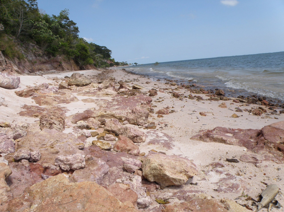 Carapanari Beach-Santarem必去景点