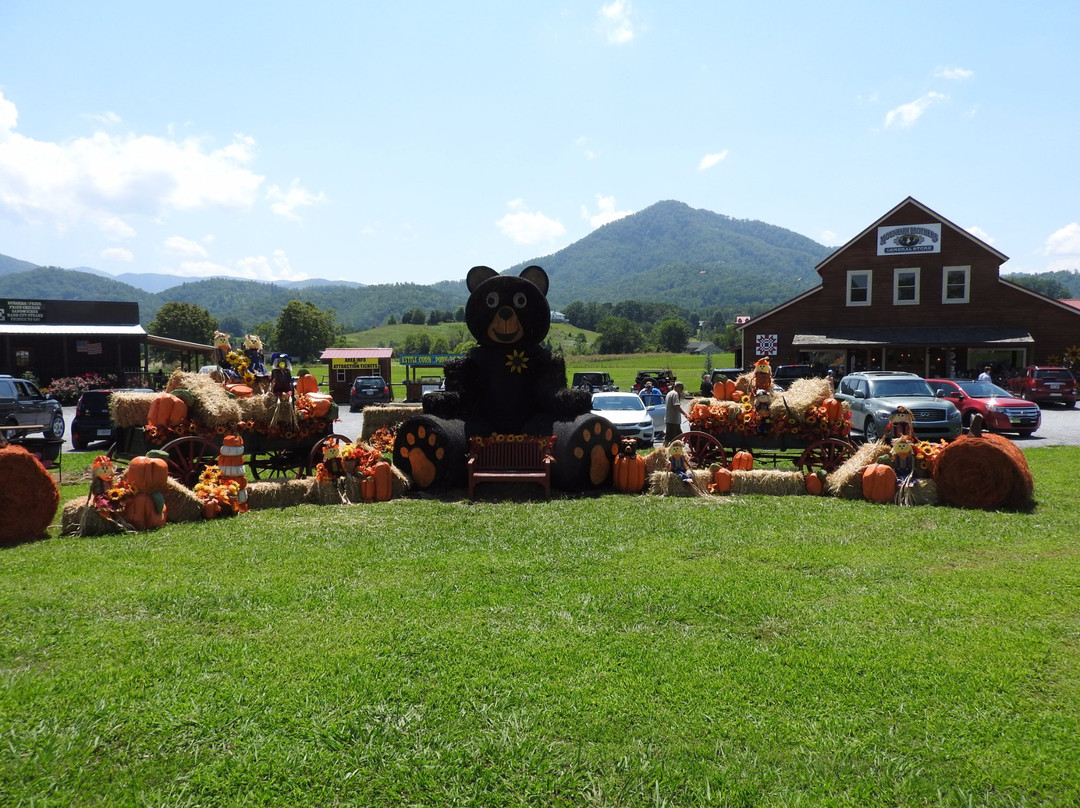Mountain Brothers General Store